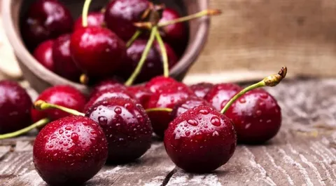 تصویر 4 از خرید و قیمت آبمیوه آلبالو + فروش صادراتی